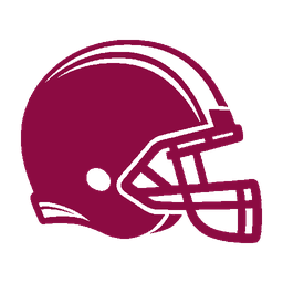 home team logo