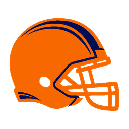 home team logo