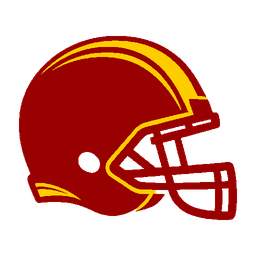 home team logo