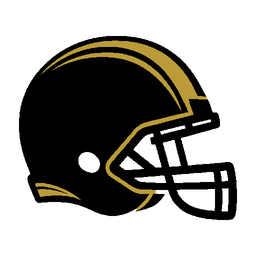 home team logo