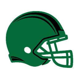 home team logo