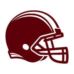 home team logo