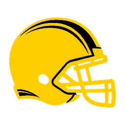 home team logo